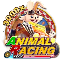 ANIMAL RACING - WINGBET138
