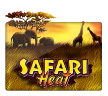 Safari Heat - WINGBET138
