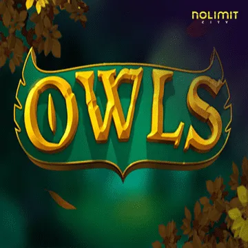 Owls - WINGBET138