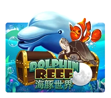 Dolphin Reef - WINGBET138