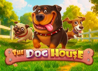 The Dog House - WINGBET138