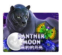 Panther Moon - WINGBET138