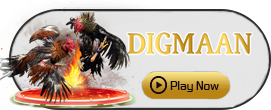 Digman - WINGBET138