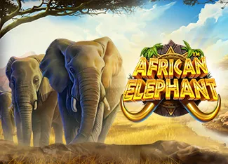 African Elephant - WINGBET138